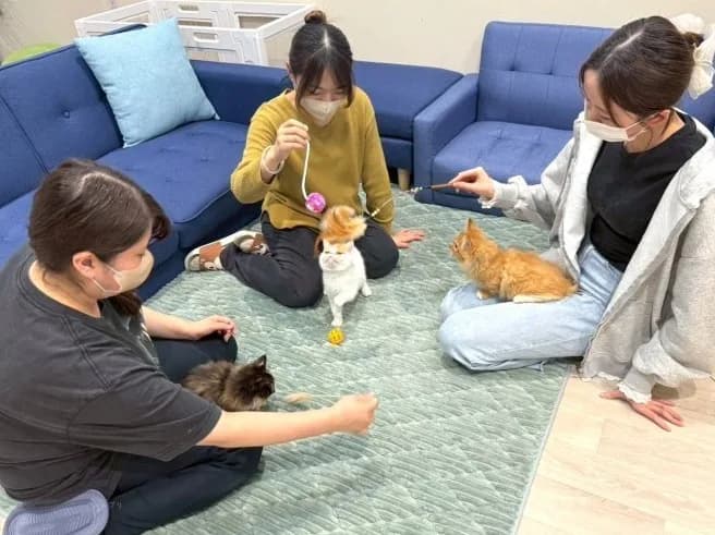 パピーヴィレッジ シラコバト - 施設サムネイル2