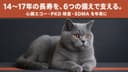 【2026年版】ブリティッシュショートヘアのかかりやすい病気6選|心臓病・腎臓の遺伝病・糖尿病の予防をブリーダーが解説