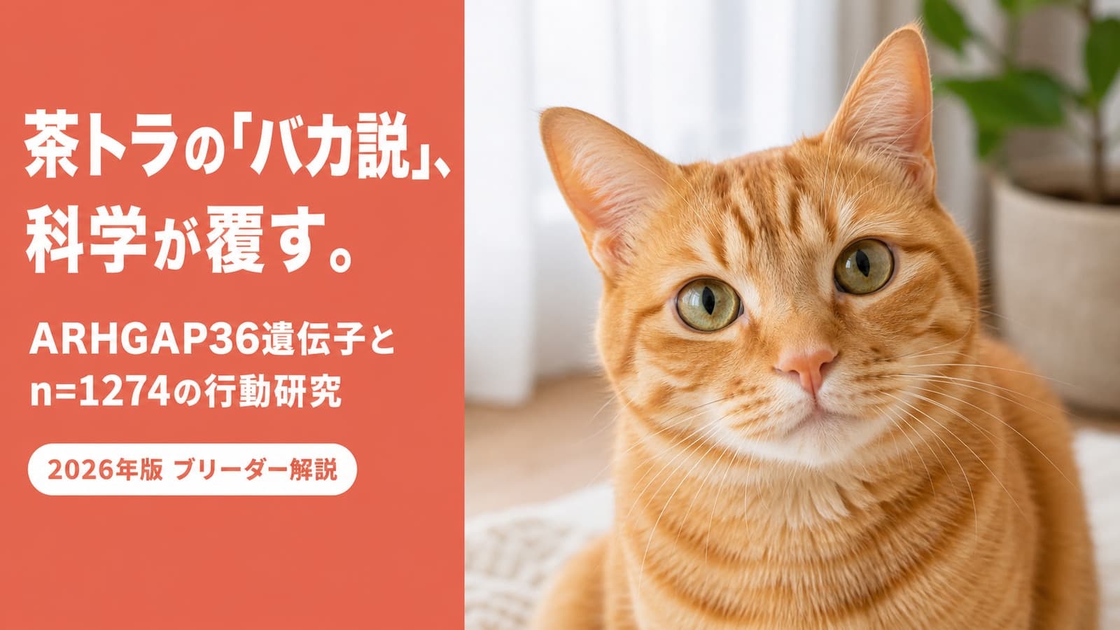 茶トラの性格|オスが8割を占める理由と甘えん坊説の真偽【2026】