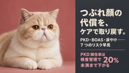 【2026年版】エキゾチックショートヘアのかかりやすい病気7選|症状・受診タイミング・日常ケアをブリーダーが解説