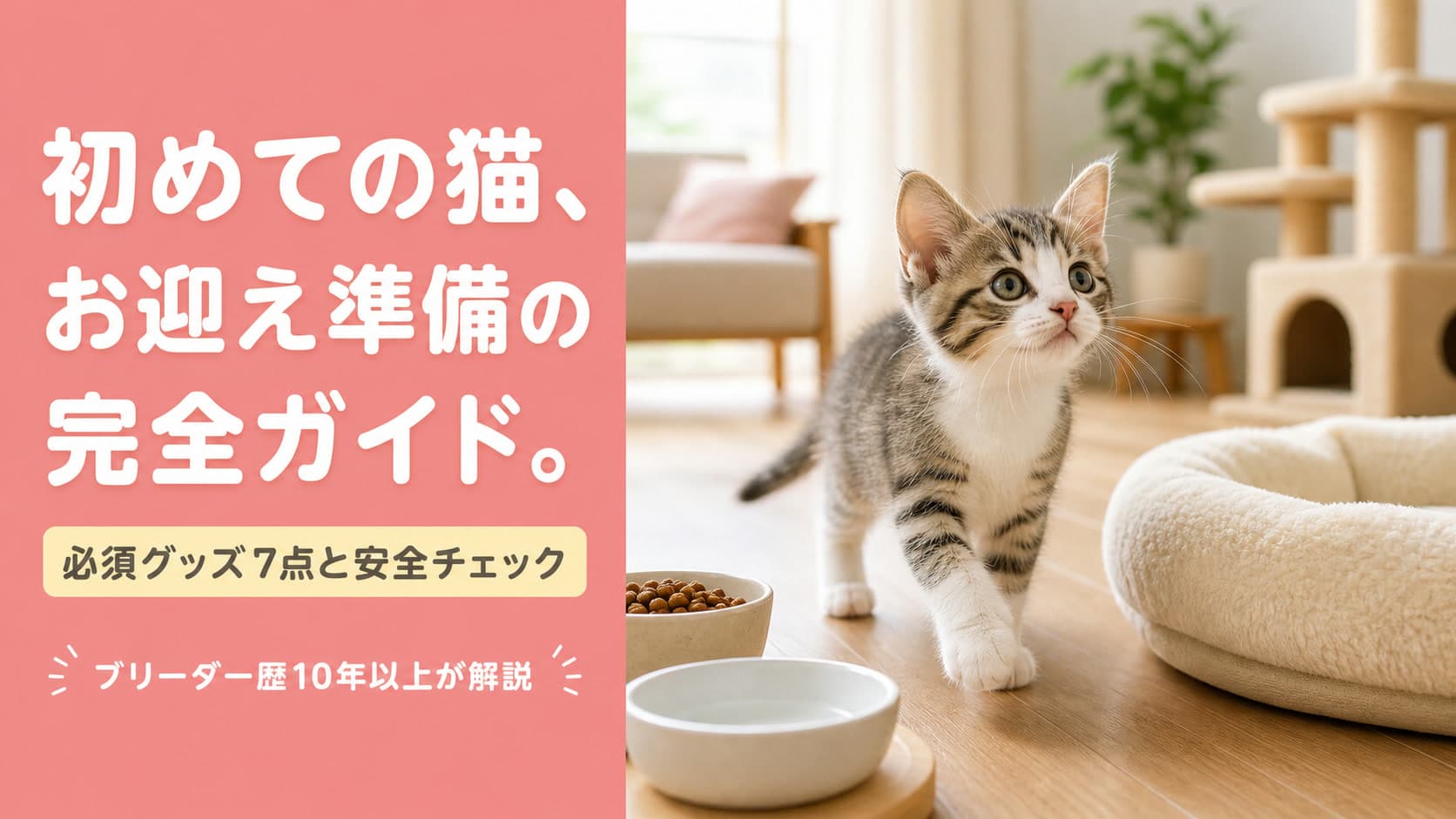 【2026年版】猫の飼い方 初心者ガイド|準備・費用・お迎え7日間を解説
