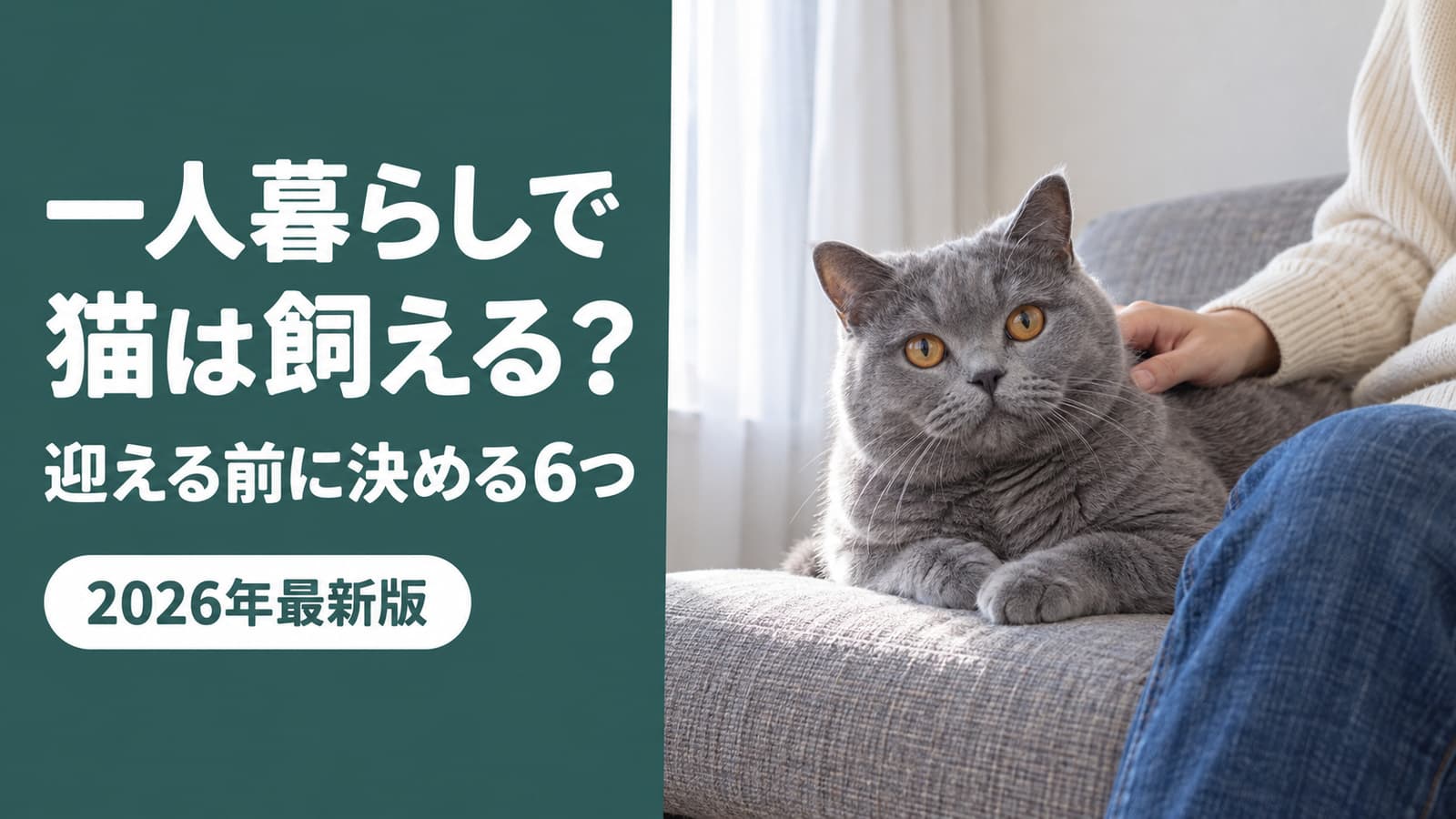 一人暮らしで猫は飼える?留守番・費用・向いている品種【2026】