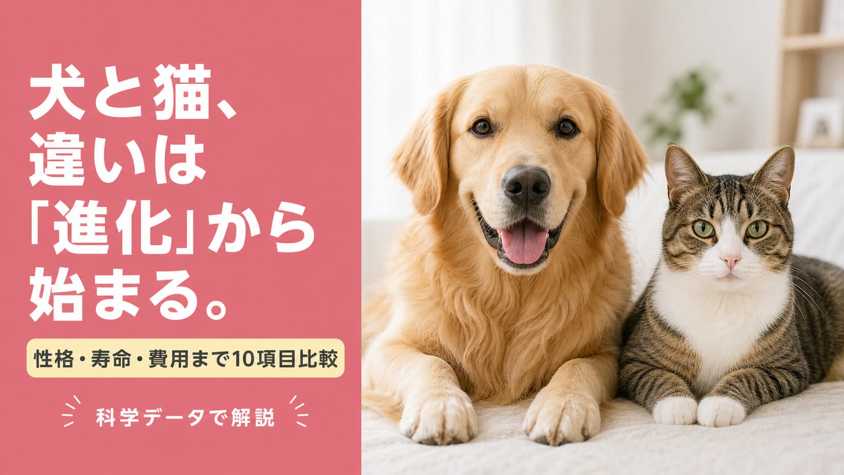 【2026年版】犬と猫の違いを科学的に解説|性格・食性・寿命・費用まで10項目比較