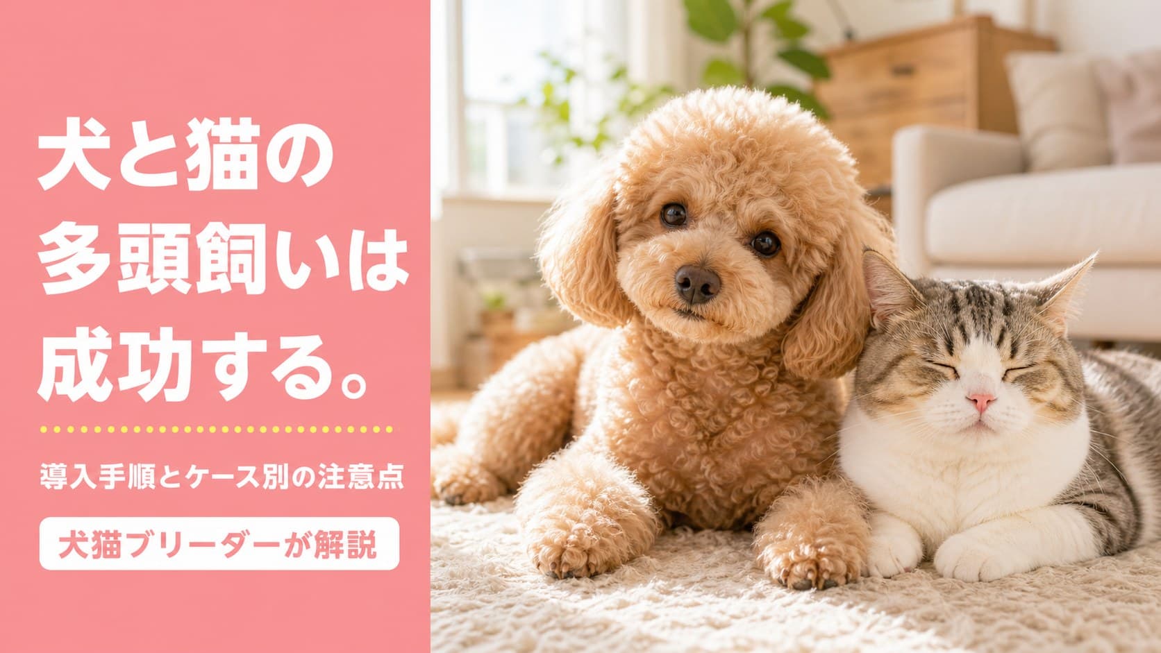 【2026年版】犬と猫の多頭飼いは難しい?同居を成功させる導入手順と注意点