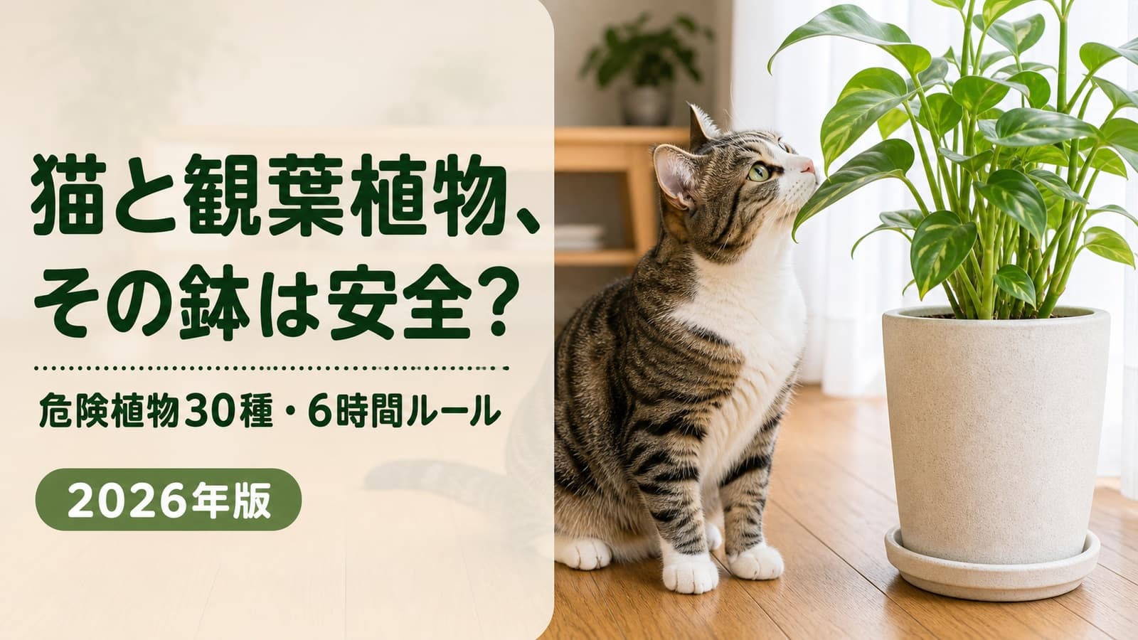 【2026年版】猫に危険な植物・大丈夫な観葉植物|30種早見表・6時間ルール