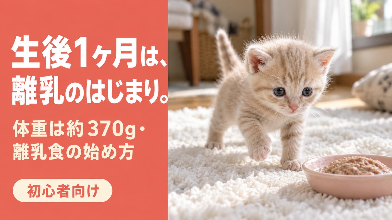 生後1ヶ月の子猫の育て方|体重・離乳食・お迎え時期【2026】