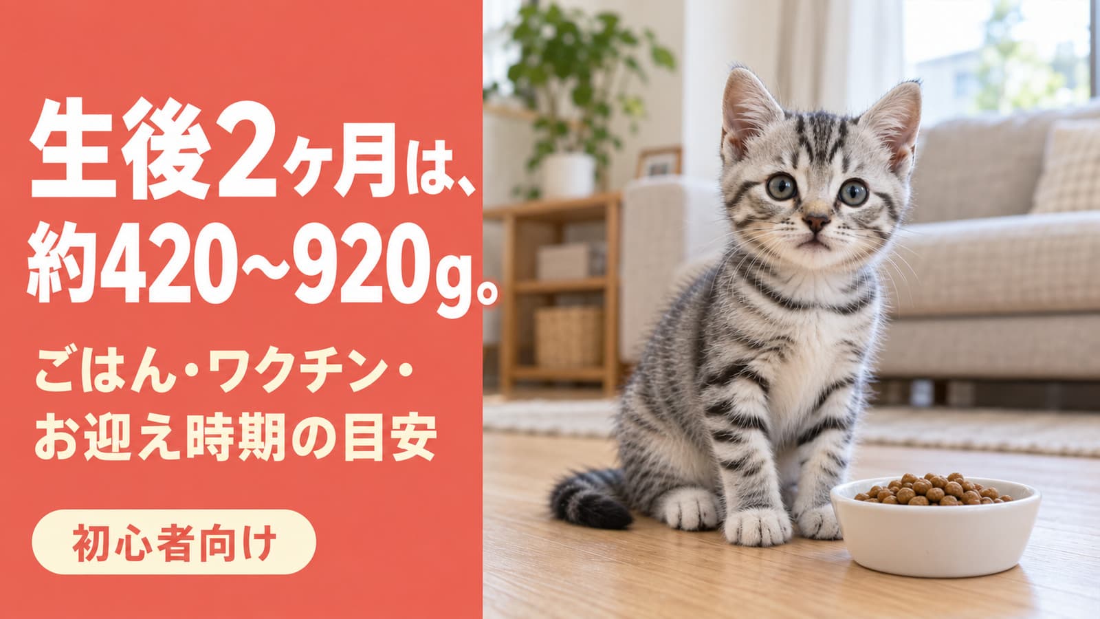生後2ヶ月の子猫の体重は約650g|大きさ・ごはん・お迎え【2026】