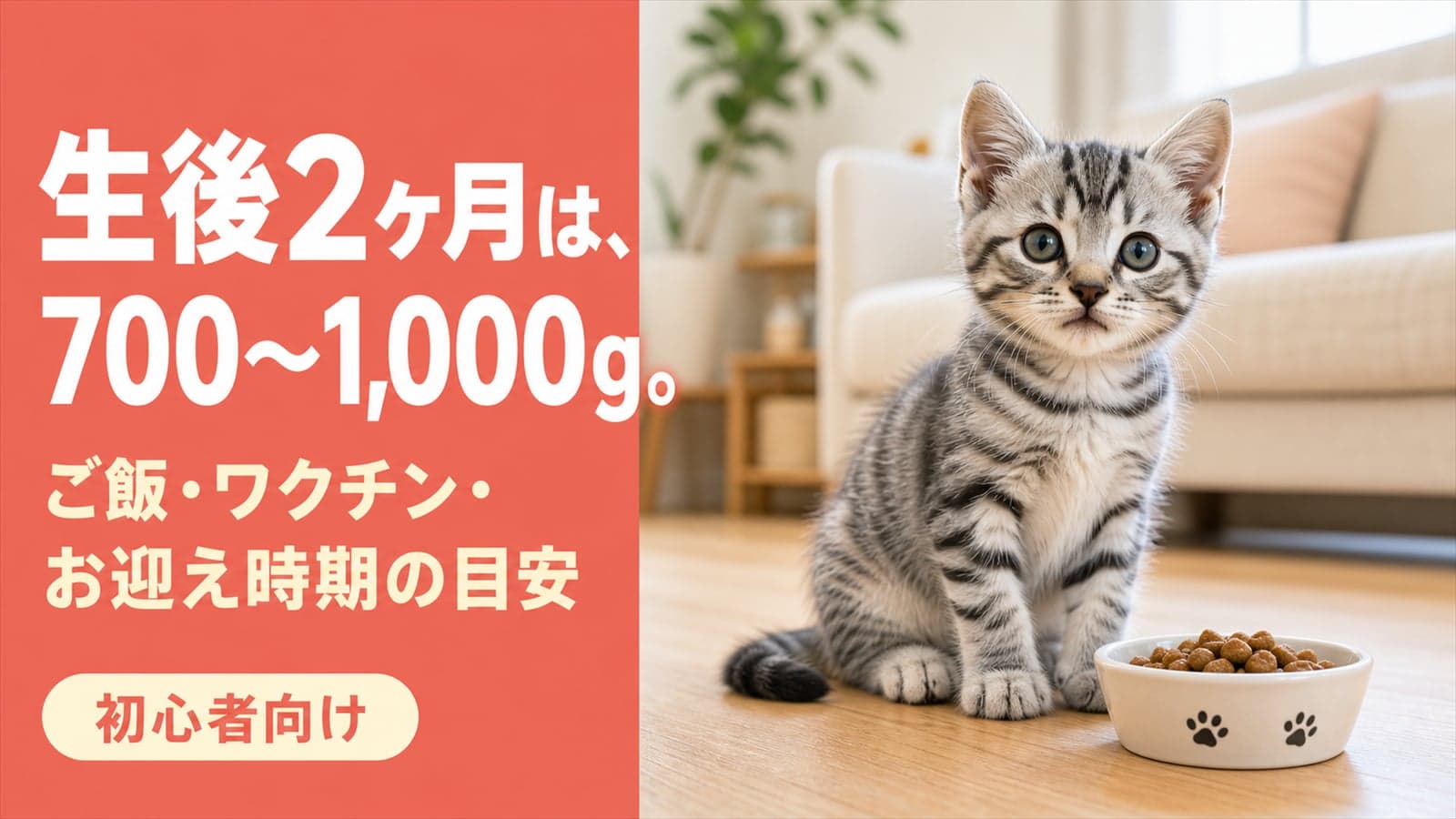 生後2ヶ月の子猫|体重・ごはん・ワクチンとお迎え時期【2026】