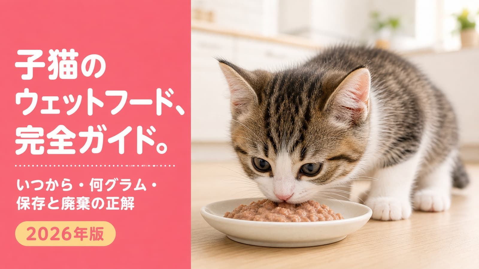 子猫のカリカリはいつから?月齢別の移行3段階と進め方【2026】