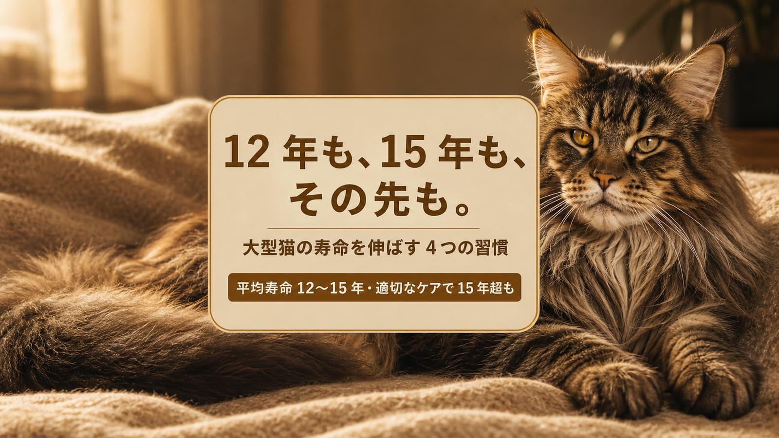 メインクーンの寿命は平均12〜15年|短命と言われる理由と長生きの秘訣【2026年版】