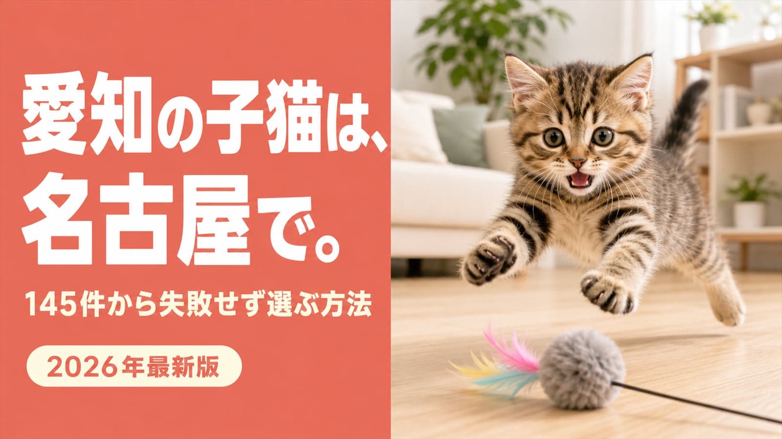 【2026年版】愛知で猫ブリーダーを探すなら名古屋市港区へ|145件の選び方と中京圏アクセス実測