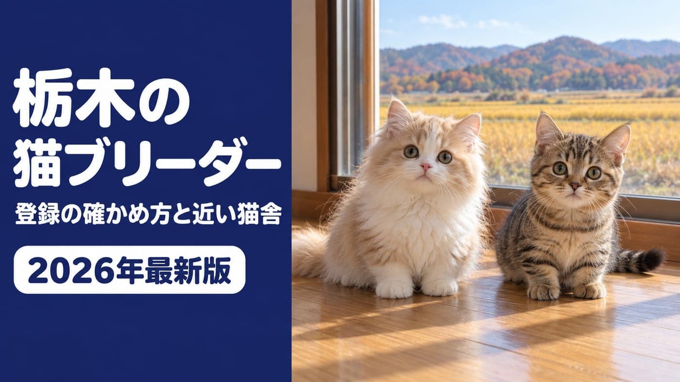 【2026】栃木の猫ブリーダー|登録の確かめ方と近い猫舎