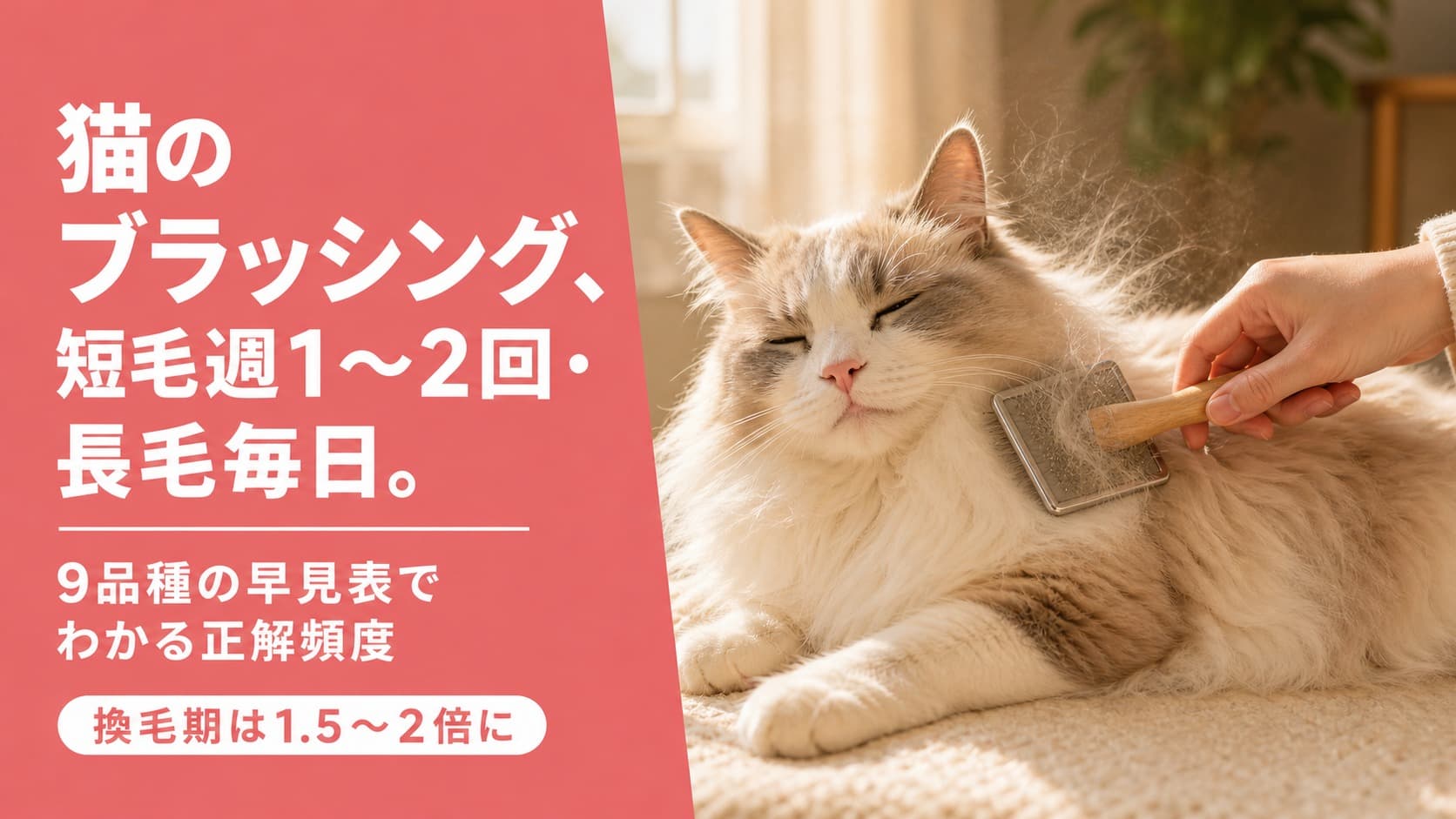 猫のブラッシング頻度|短毛・長毛・品種別の早見表【2026】