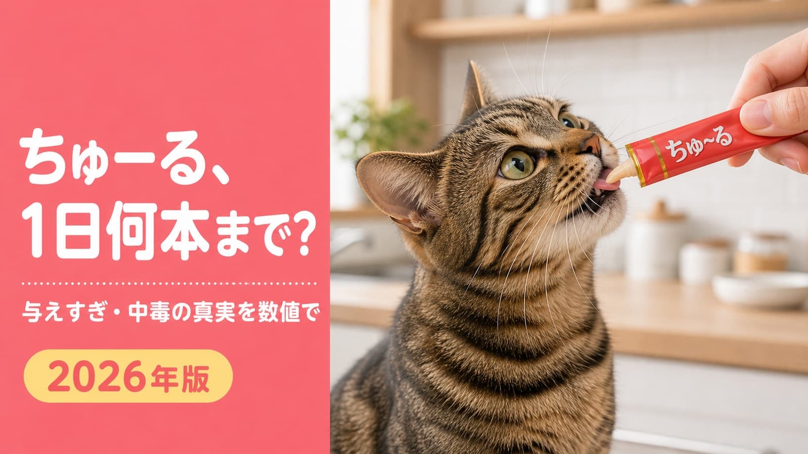 ちゅーるは1日何本まで?体重別の上限と中毒説の真偽【2026】