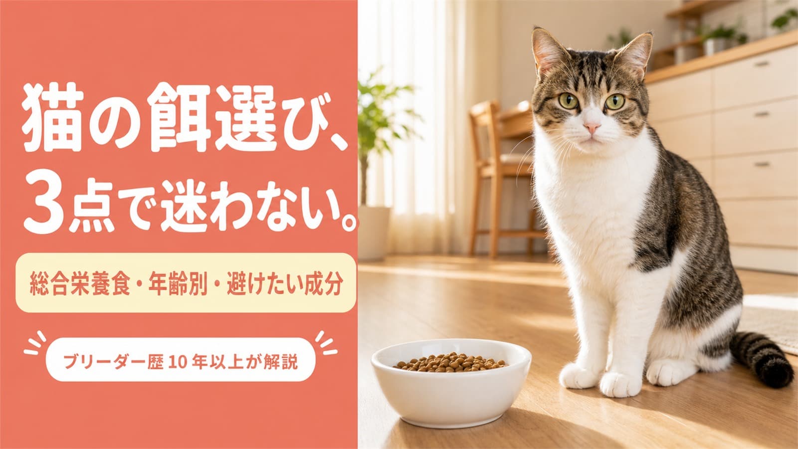【2026年版】猫のごはんの選び方とおすすめ|総合栄養食・年齢別・添加物をブリーダーが解説