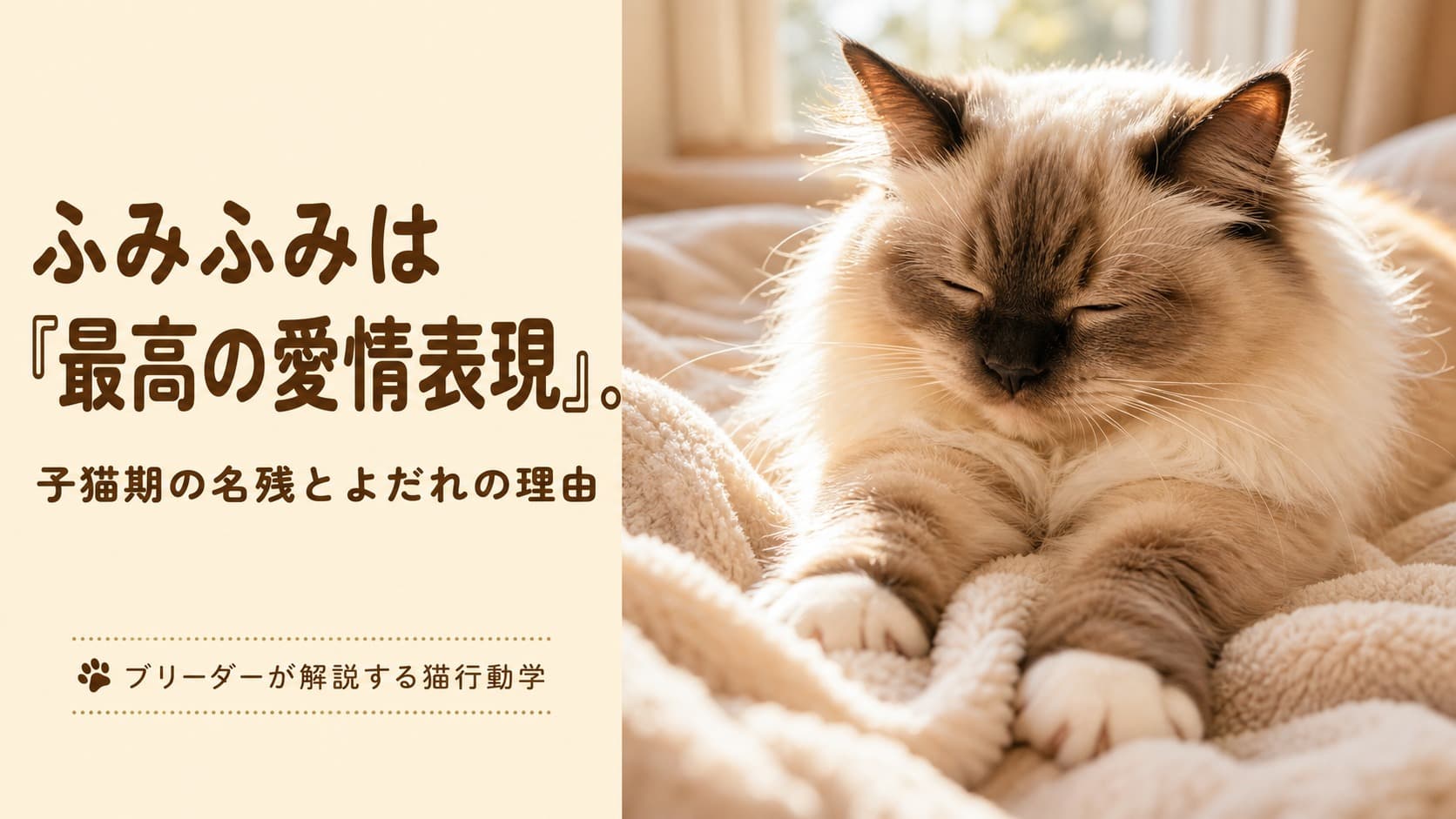 猫のふみふみの意味|よだれを伴う理由と品種別の傾向【2026】