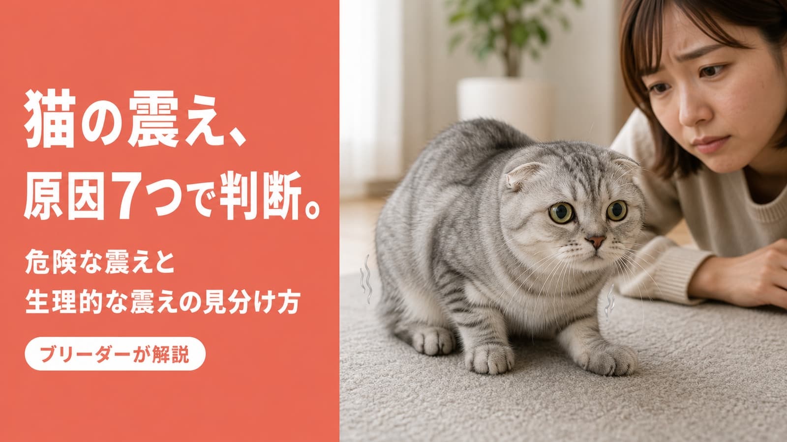 【2026年版】猫が震える原因7つ|危険な震えの見分け方と応急対処法