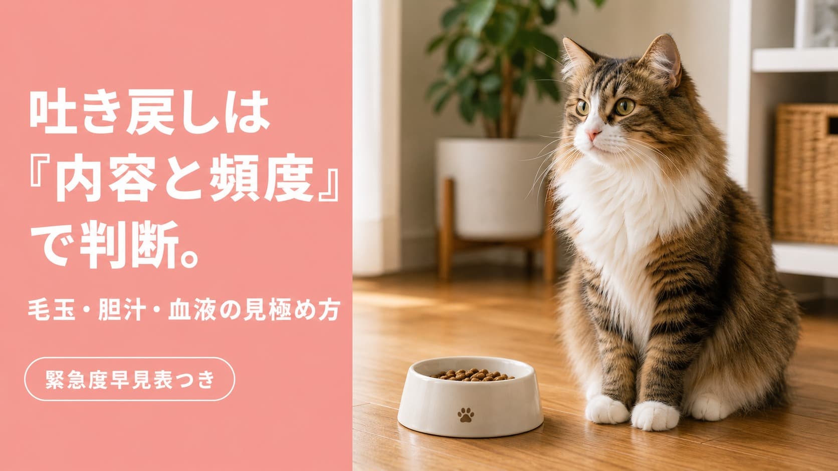【2026年版】猫の吐き戻しが多い?吐物の色・内容別の緊急度と正しい対策