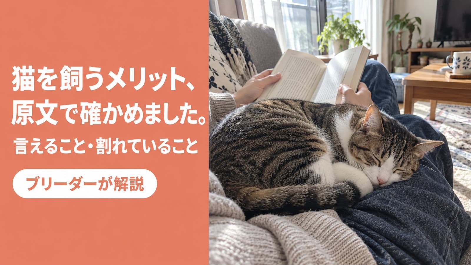 【2026】猫を飼うメリットは?科学的に言えること・言えないこと