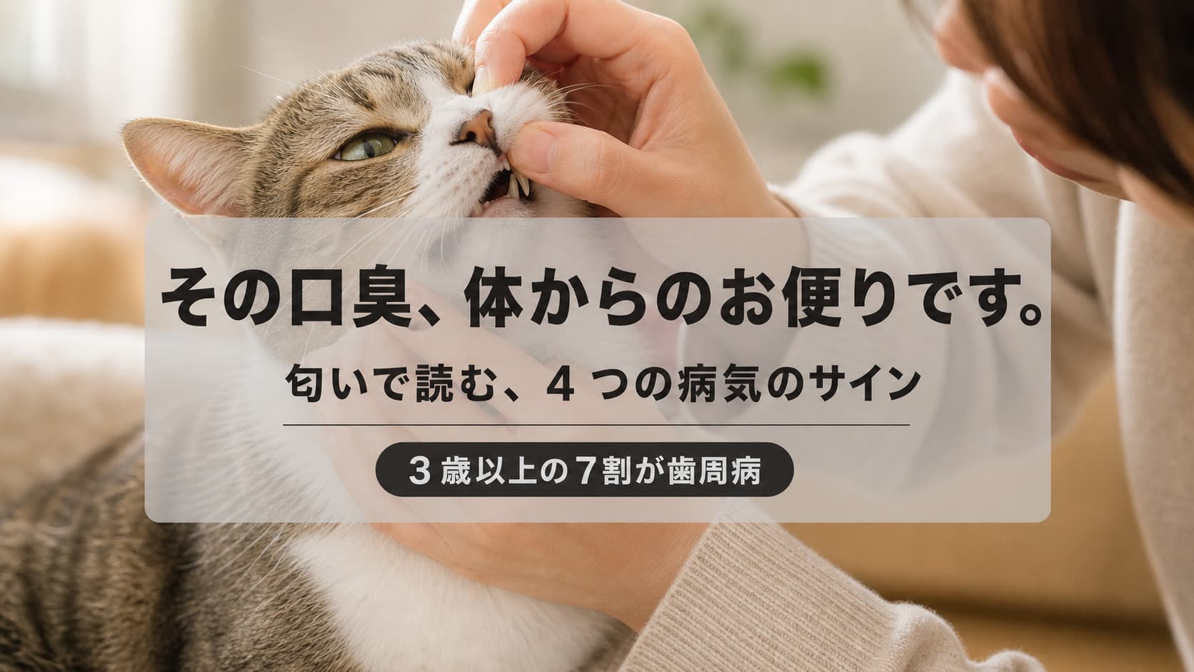 【2026年版】猫の口臭の原因と対策|匂い別で疑うべき病気と予防法を解説