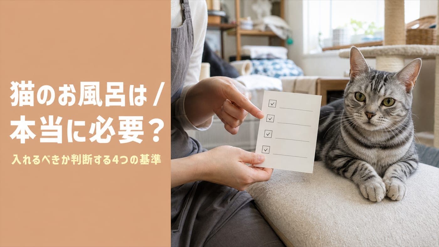 猫のお風呂は必要?入れるべき4つの判断基準【2026】