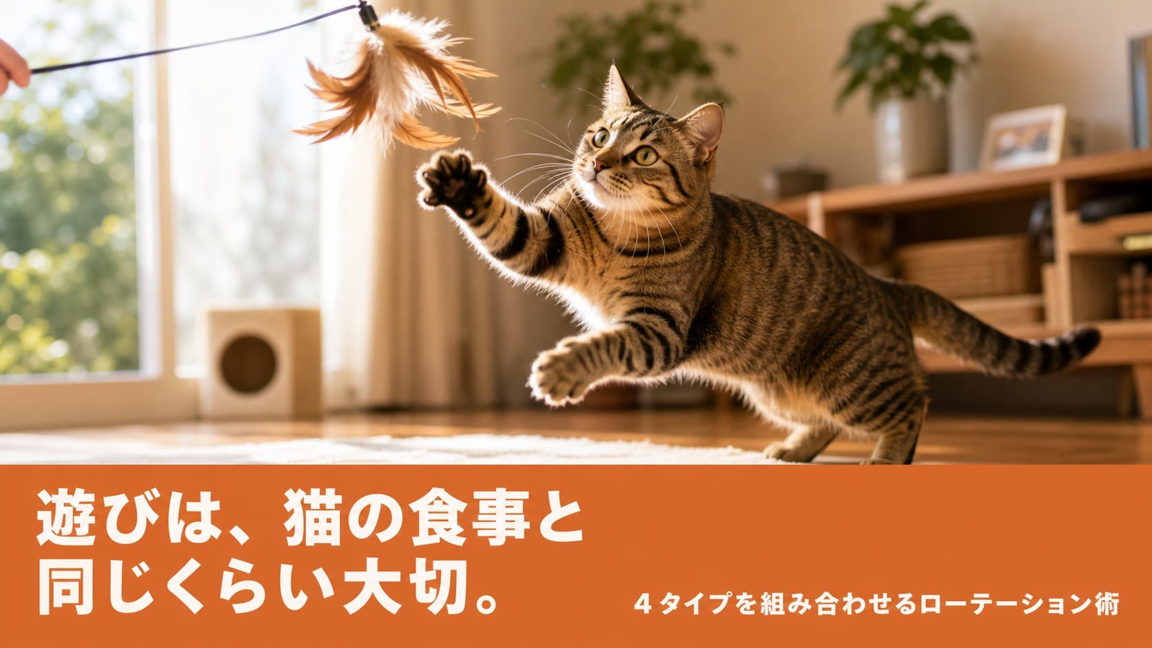 【2026年版】猫のおもちゃおすすめ完全ガイド|タイプ別厳選と安全な選び方