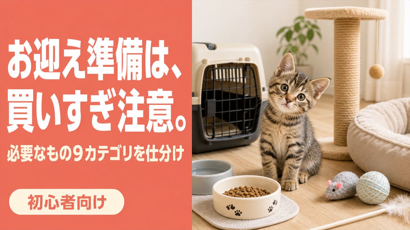 【2026年版】猫のお迎え準備|必要なもの9カテゴリとスターターセット費用比較をブリーダーが解説
