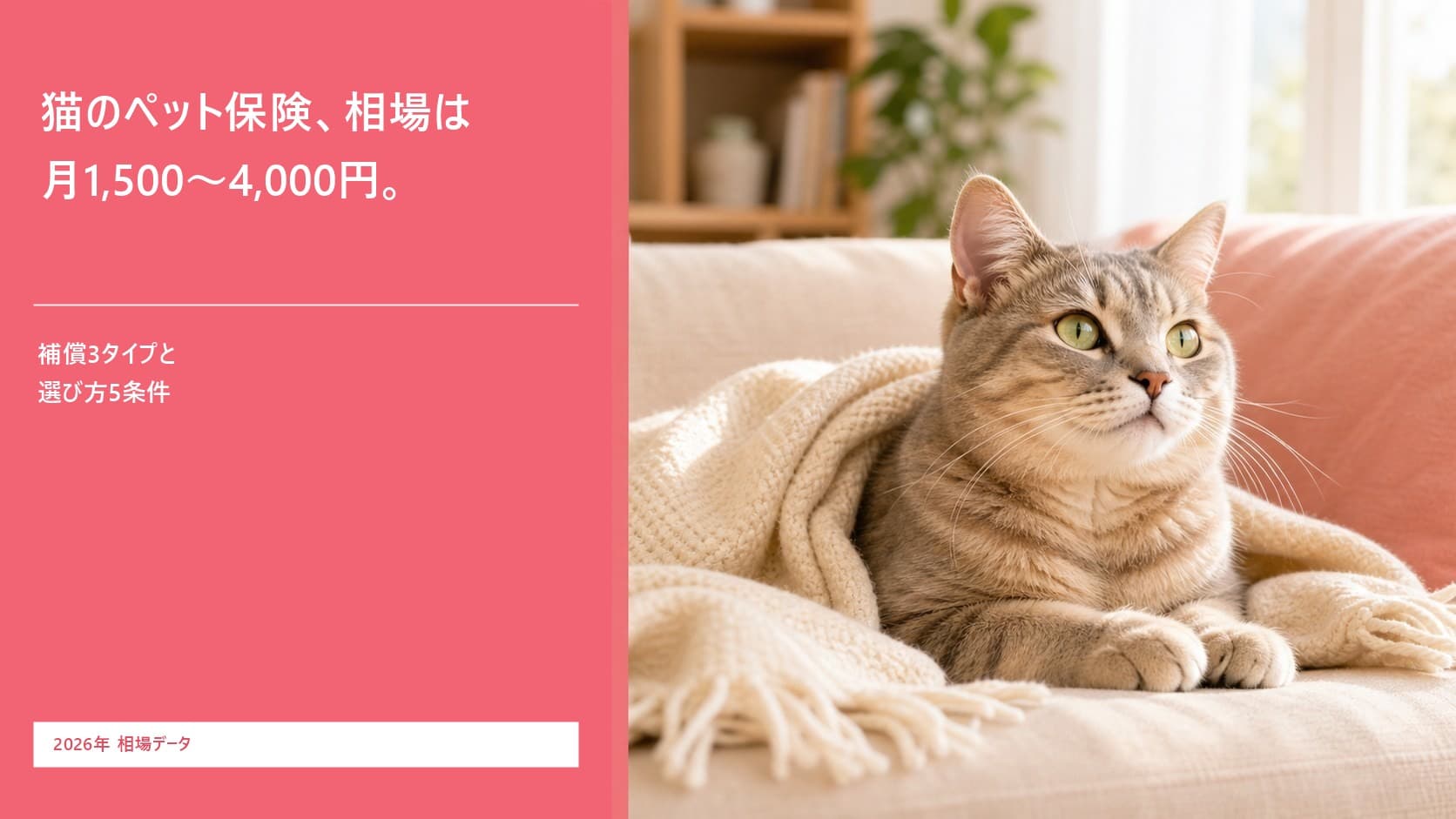 【2026年版】猫のペット保険の相場は月1,500〜4,000円|選び方5条件・加入タイミングをブリーダーが解説