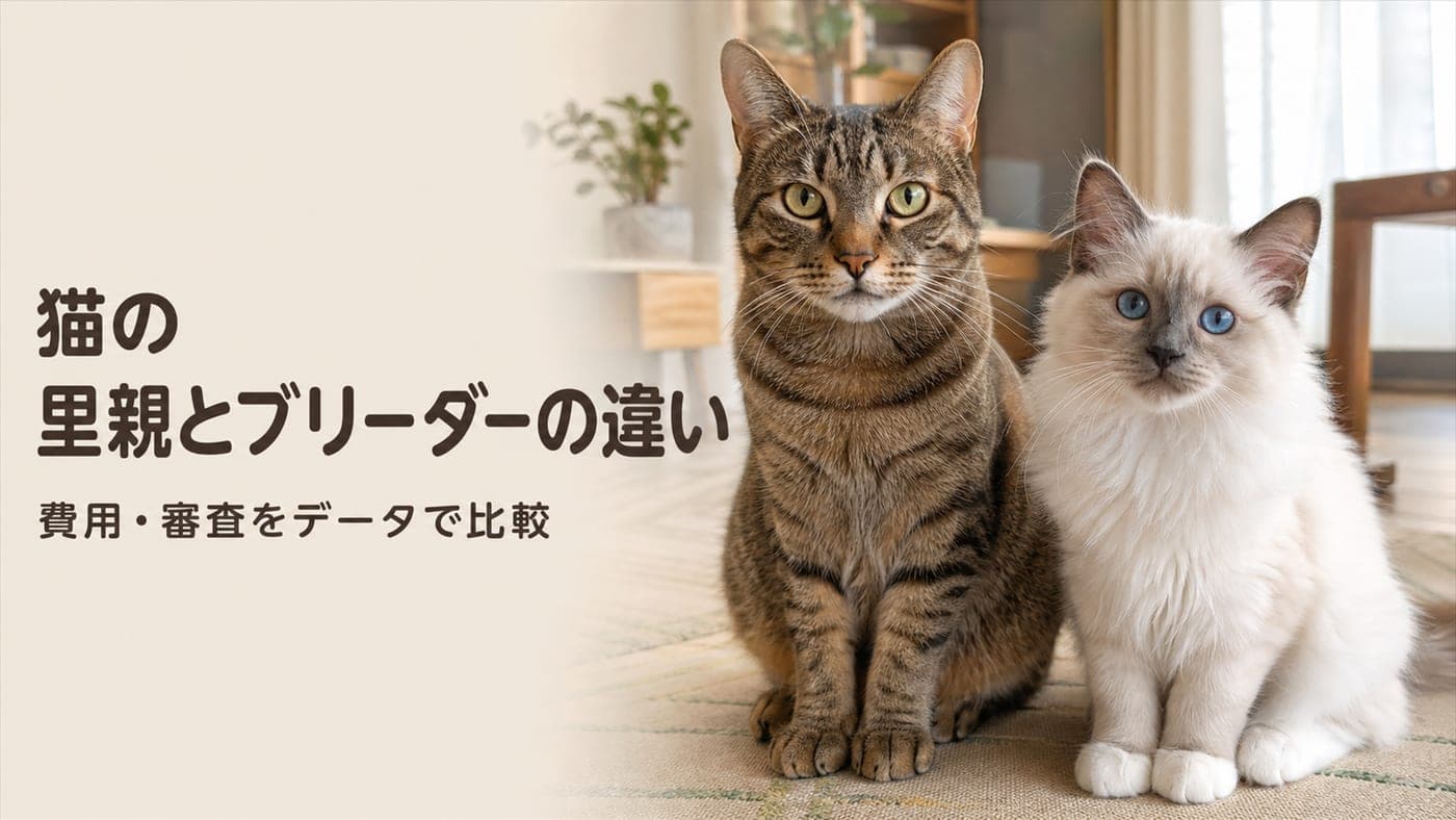 猫の里親とブリーダーの違い|費用・審査データ比較【2026】