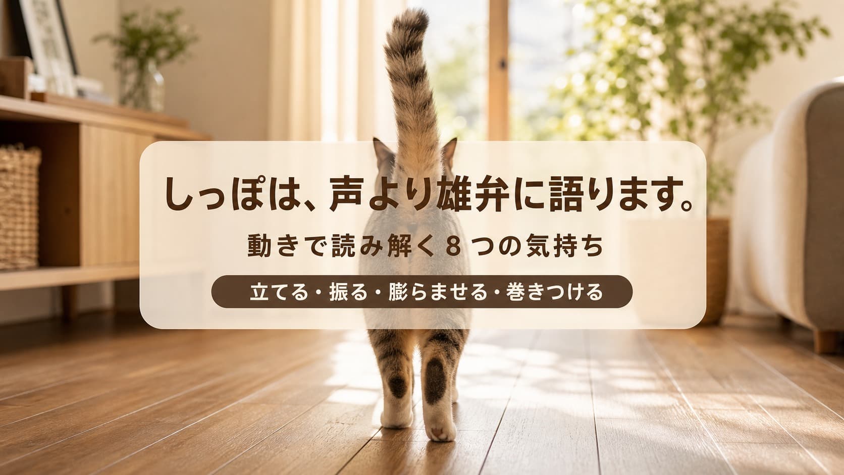 【2026年版】猫のしっぽの意味を完全解説|動きでわかる気持ち8パターン一覧