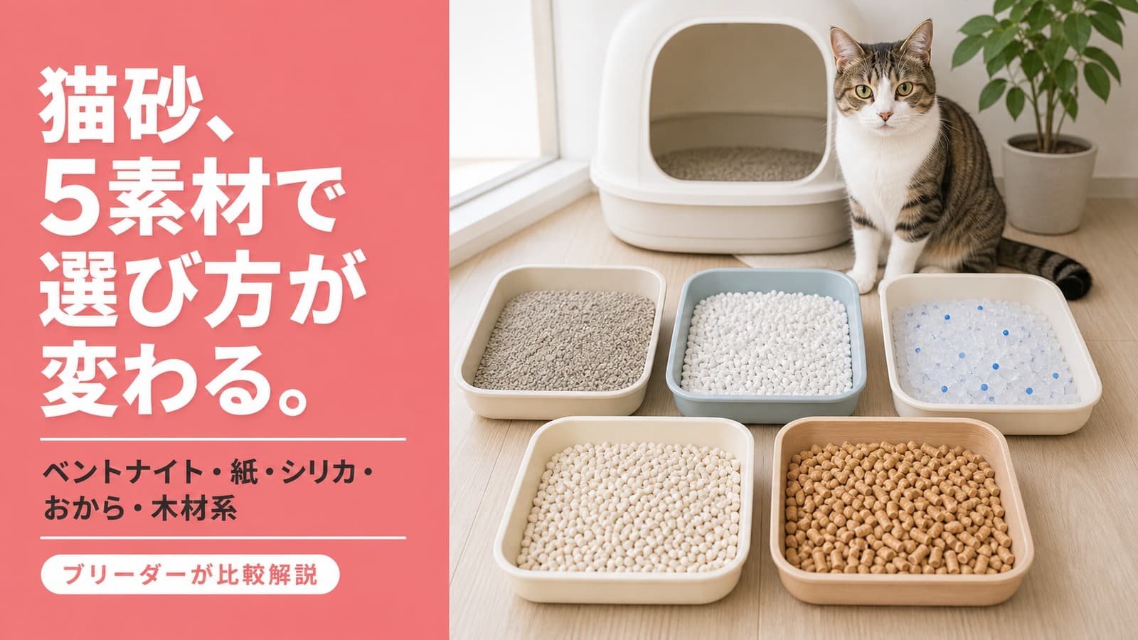 猫砂の選び方|5素材の比較とシーン別のおすすめ【2026】