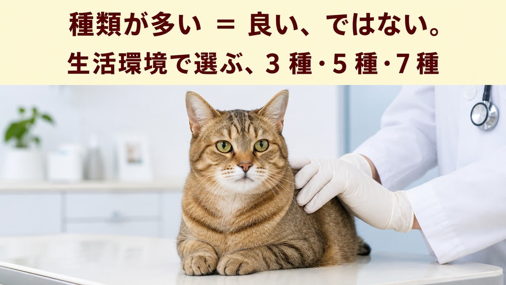【2026年版】猫のワクチン種類完全ガイド:3種・5種・7種混合の違いと室内飼い向きの選び方