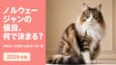 【2026年版】ノルウェージャンフォレストキャット 値段21〜22万円|GSD IV・カラー別価格をブリーダーが解説