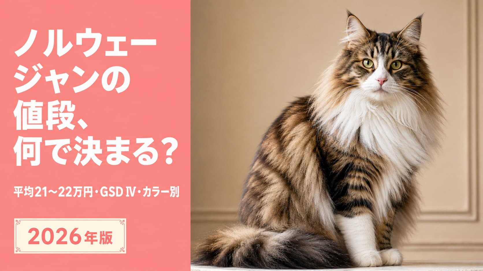 ノルウェージャンフォレストキャットの値段|価格差の理由【2026】