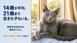 ロシアンブルーの寿命|短いと言われる理由と延ばし方【2026】