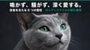 【2026年版】ロシアンブルーの性格・特徴・飼い方 - ブリーダーが正直に解説します