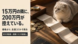 【2026年版】スコティッシュフォールドの値段・価格相場を徹底解説|子猫の購入費用とトータルコスト