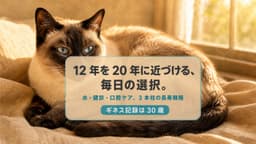 シャム猫の寿命|世界記録30歳超と長生きの条件【2026】