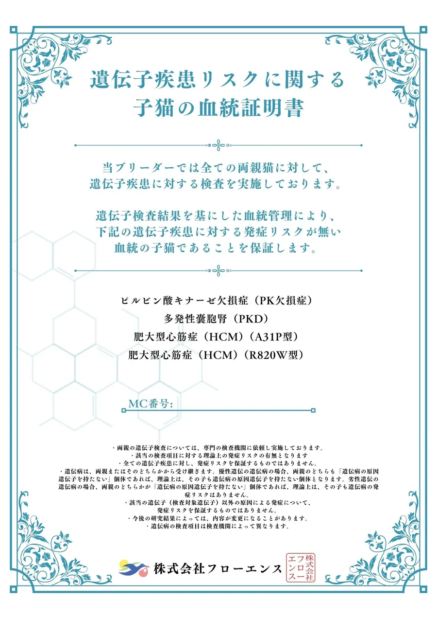 遺伝子疾患リスクに関する子猫の血統証明書(4大遺伝子疾患)の見本