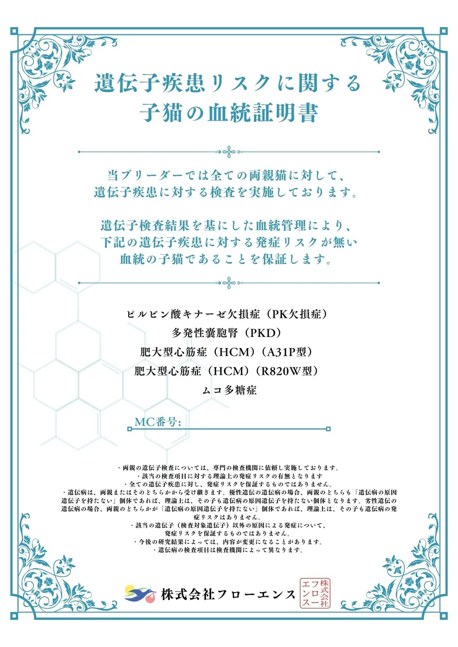 遺伝子疾患リスクに関する子猫の血統証明書(4大遺伝子疾患+ムコ多糖症)の見本