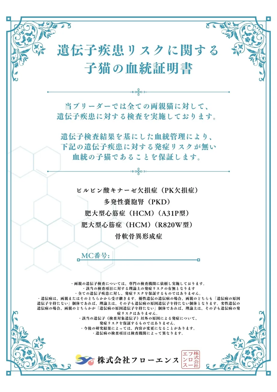 遺伝子疾患リスクに関する子猫の血統証明書(4大遺伝子疾患+骨軟骨異形成症)の見本