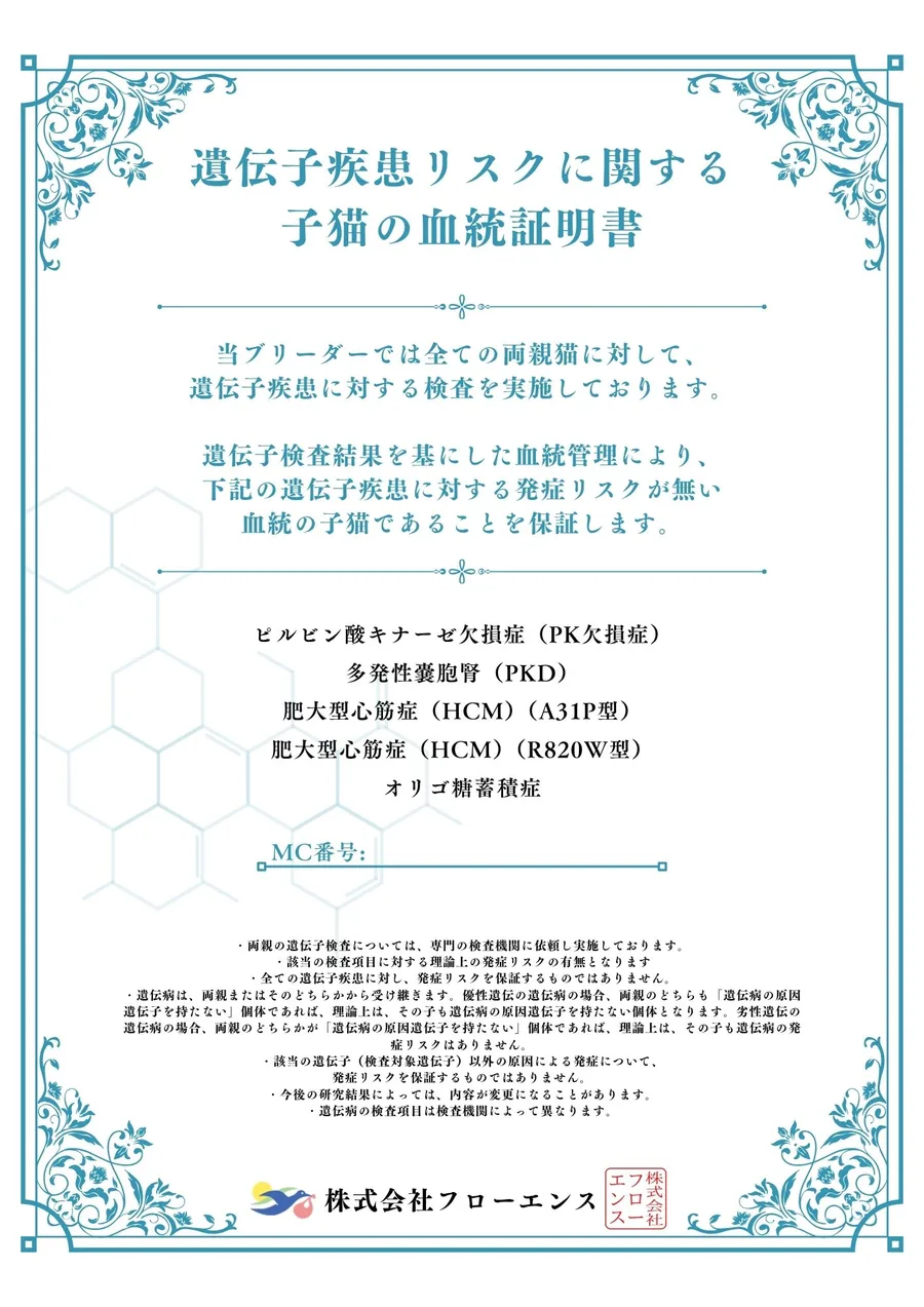 遺伝子疾患リスクに関する子猫の血統証明書(4大遺伝子疾患+オリゴ糖蓄積症)の見本