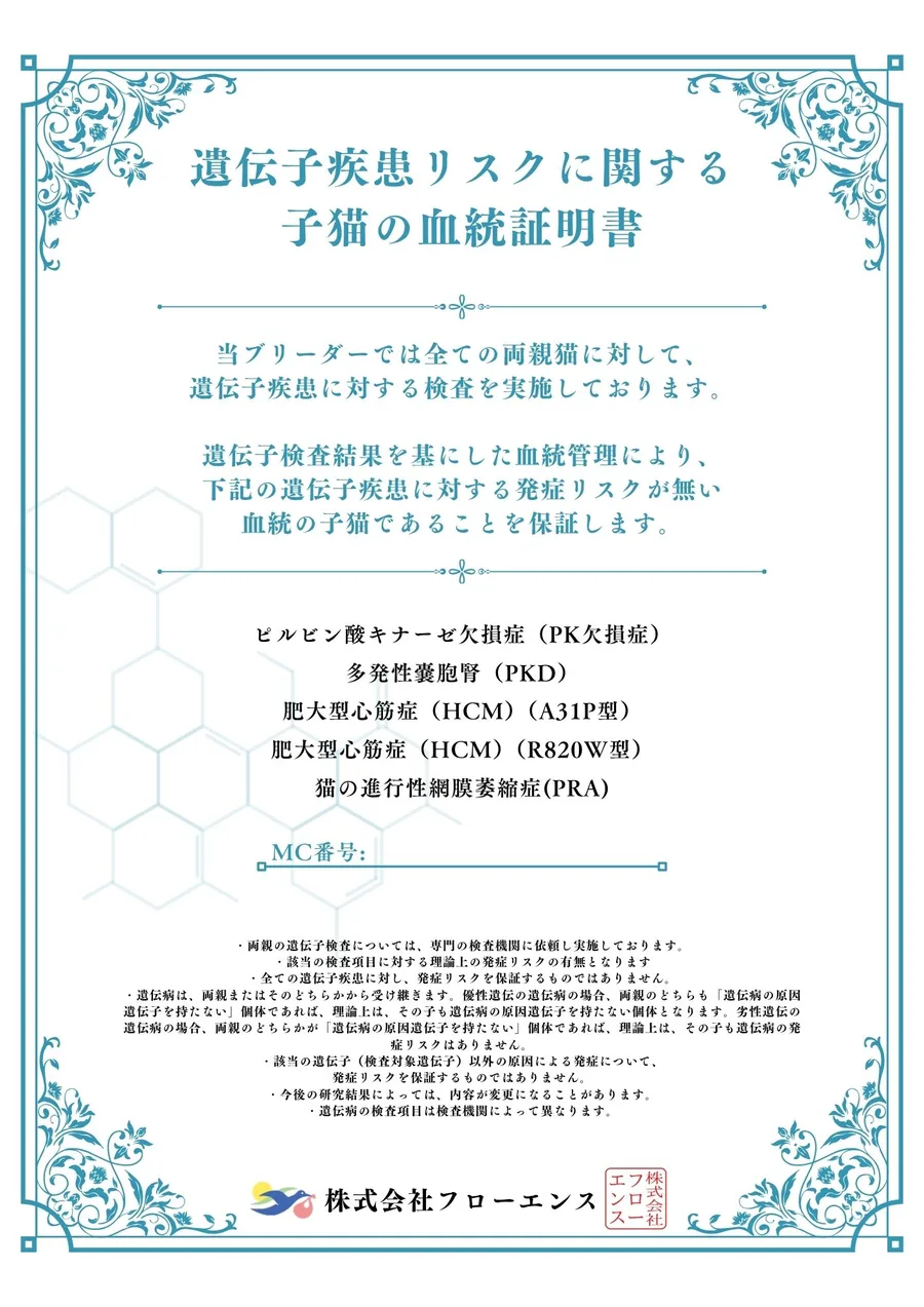 遺伝子疾患リスクに関する子猫の血統証明書(4大遺伝子疾患+PRA)の見本