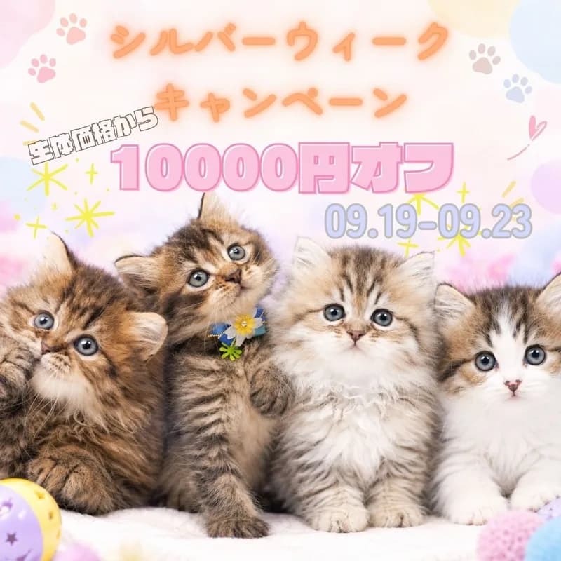 9/19㈪-23㈬限定!成約特典🎁