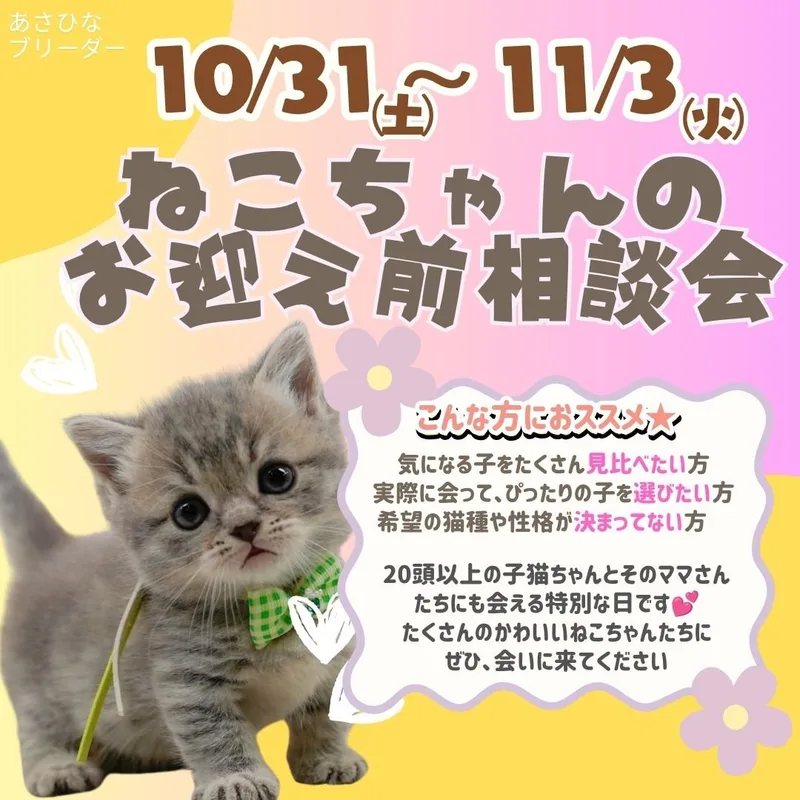 ๐ฑ๐10/31ใ11/3ใ่ฟใๅ็ธ่ซไผ้ๅฌ๐ไธๅฎใชๆนใฎใ่ไธญใๆผใใๆไผใใใใพใ๐ ็ปๅ1