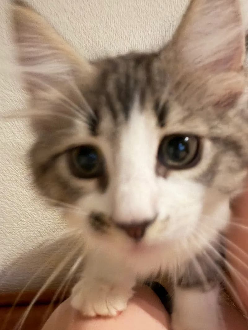 東京都のお客様のお客様の声