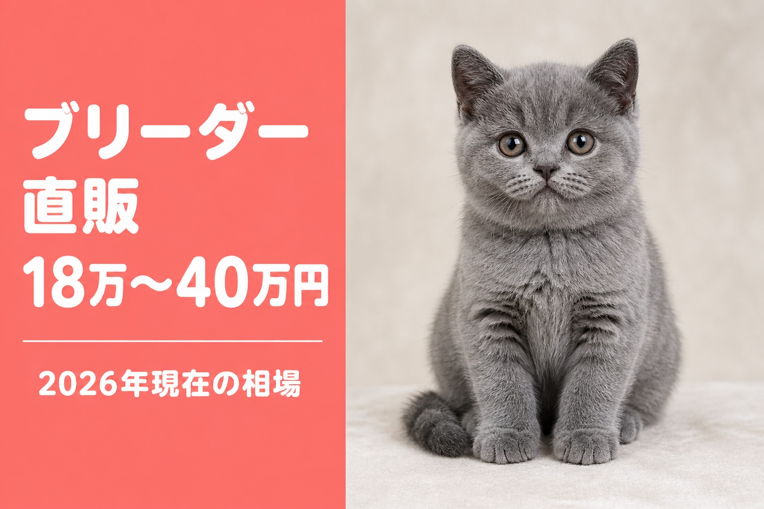 ブリーダー直販18万〜40万円の相場