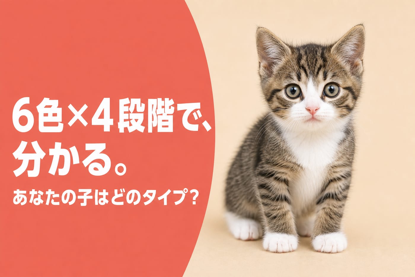 6色×4段階で分かると伝えるサーモン帯バナーとキジ白の子猫
