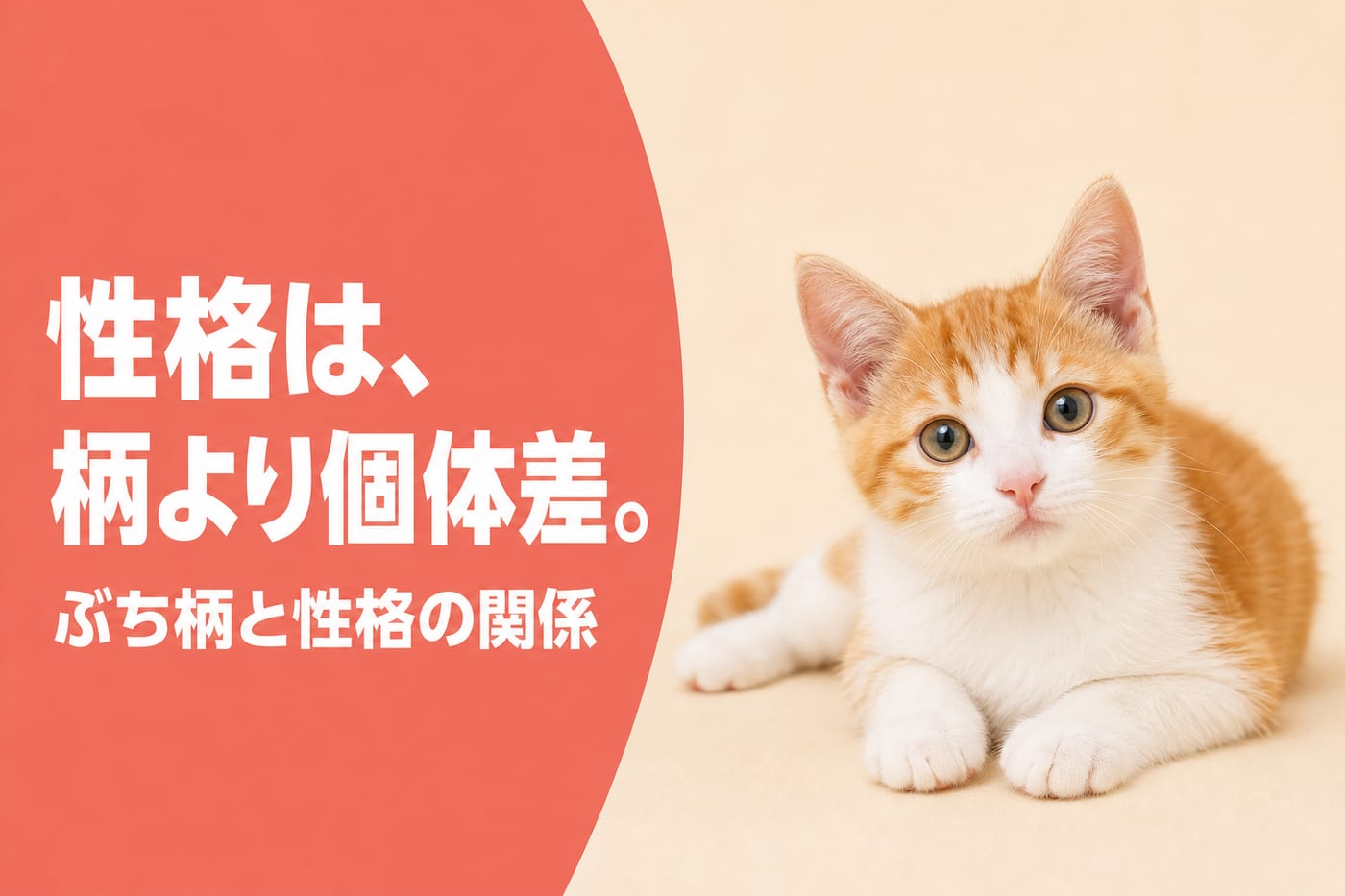 性格は柄より個体差と伝えるサーモン帯バナーとくつろぐ茶白の子猫