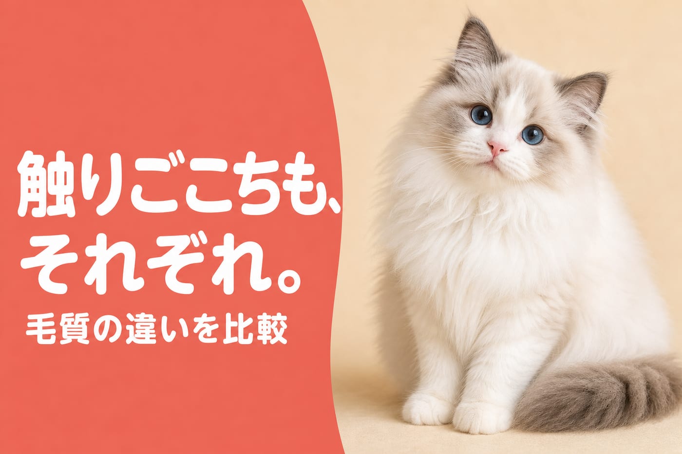 触りごこちもそれぞれと伝えるサーモン帯バナーとシルクのような被毛の子猫